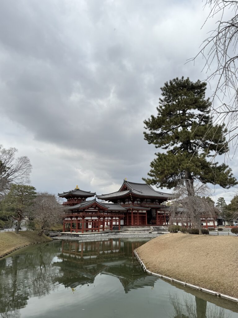 How I Spent 14 Days Solo Travelling Japan: Complete Itinerary & Budget Guide (Under RM 7.9k) img 1274