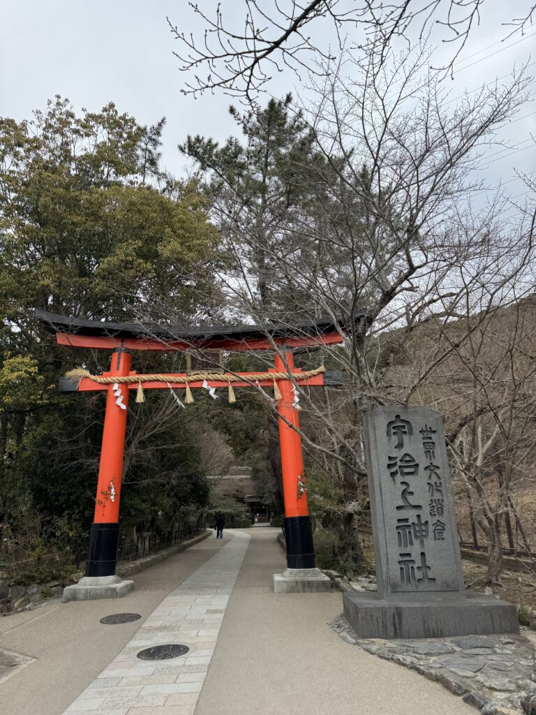 How I Spent 14 Days Solo Travelling Japan: Complete Itinerary & Budget Guide (Under RM 7.9k) img 1288
