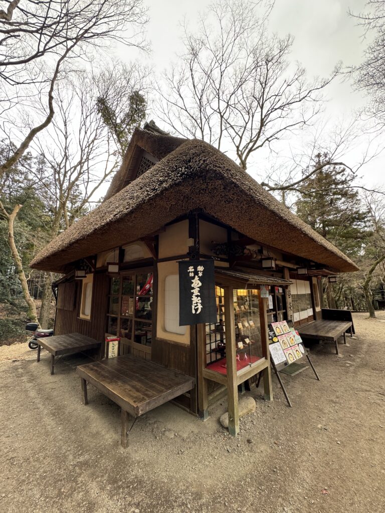 How I Spent 14 Days Solo Travelling Japan: Complete Itinerary & Budget Guide (Under RM 7.9k) img 1315