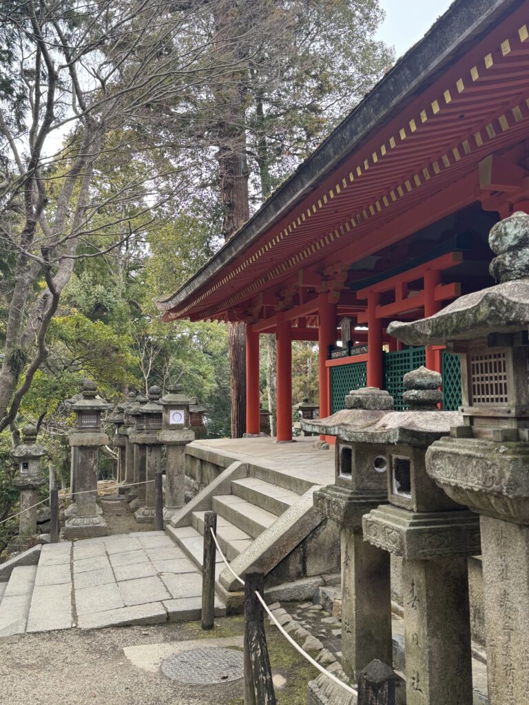 How I Spent 14 Days Solo Travelling Japan: Complete Itinerary & Budget Guide (Under RM 7.9k) img 1322