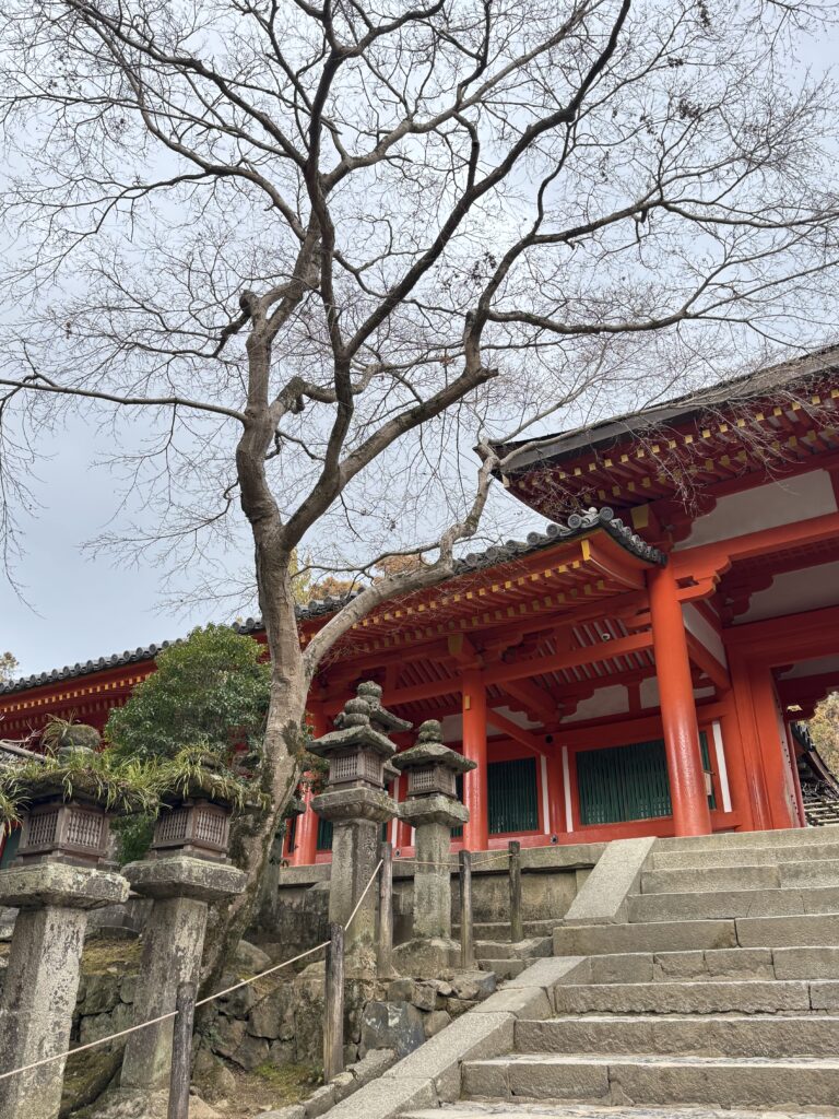 How I Spent 14 Days Solo Travelling Japan: Complete Itinerary & Budget Guide (Under RM 7.9k) img 1324
