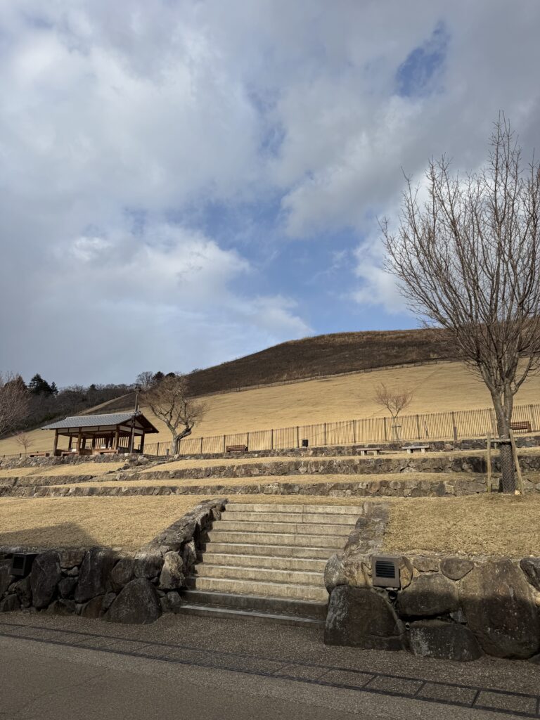 How I Spent 14 Days Solo Travelling Japan: Complete Itinerary & Budget Guide (Under RM 7.9k) img 1331