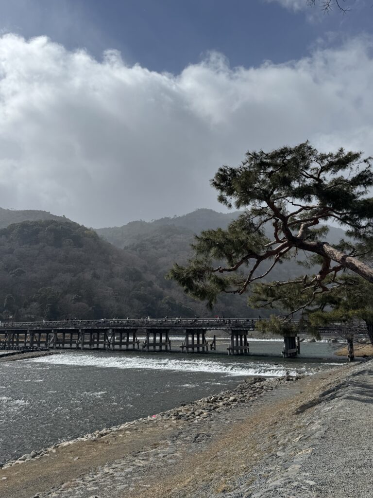 How I Spent 14 Days Solo Travelling Japan: Complete Itinerary & Budget Guide (Under RM 7.9k) img 1412