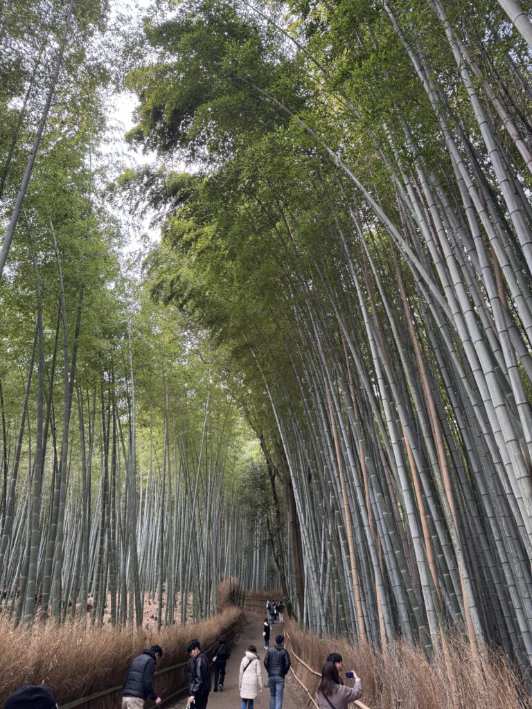 How I Spent 14 Days Solo Travelling Japan: Complete Itinerary & Budget Guide (Under RM 7.9k) img 1425