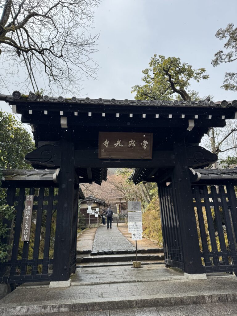 How I Spent 14 Days Solo Travelling Japan: Complete Itinerary & Budget Guide (Under RM 7.9k) img 1435