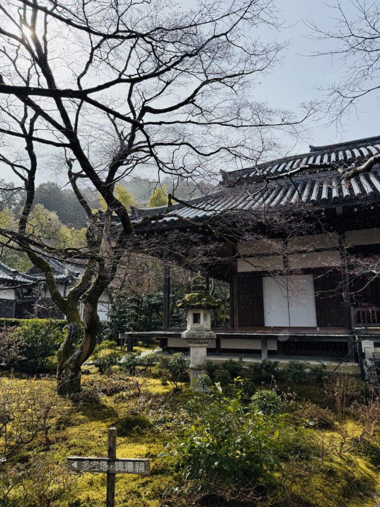 How I Spent 14 Days Solo Travelling Japan: Complete Itinerary & Budget Guide (Under RM 7.9k) img 1439
