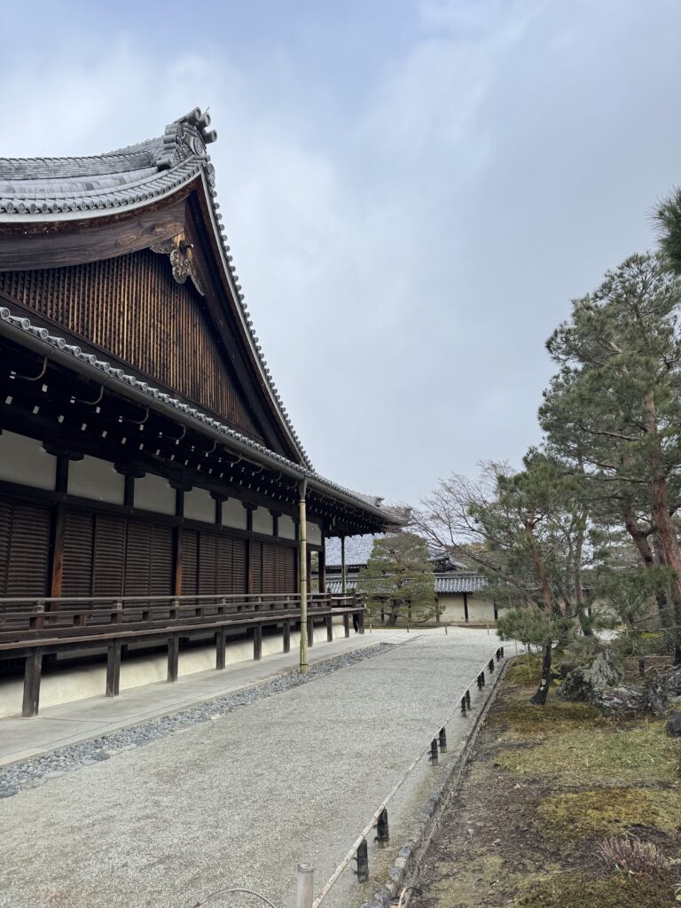 How I Spent 14 Days Solo Travelling Japan: Complete Itinerary & Budget Guide (Under RM 7.9k) img 1458