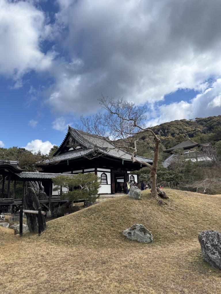 How I Spent 14 Days Solo Travelling Japan: Complete Itinerary & Budget Guide (Under RM 7.9k) img 1564