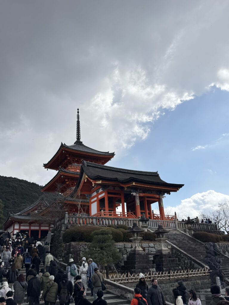 How I Spent 14 Days Solo Travelling Japan: Complete Itinerary & Budget Guide (Under RM 7.9k) img 1593
