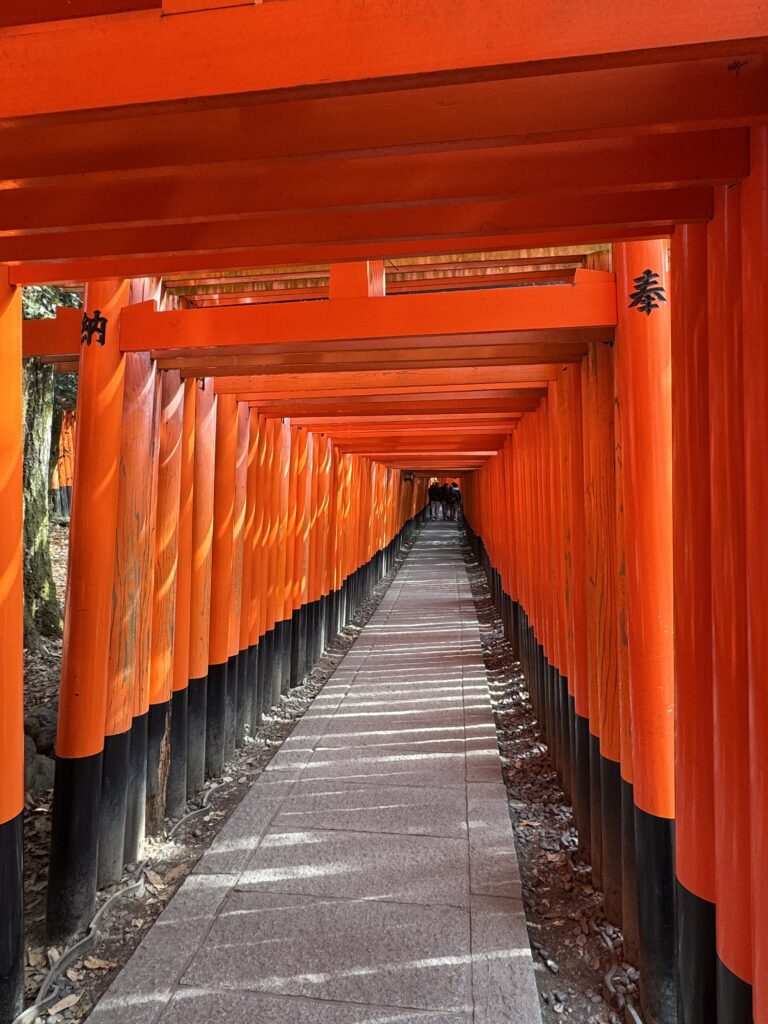 How I Spent 14 Days Solo Travelling Japan: Complete Itinerary & Budget Guide (Under RM 7.9k) img 1612