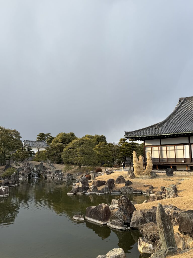 How I Spent 14 Days Solo Travelling Japan: Complete Itinerary & Budget Guide (Under RM 7.9k) img 1626