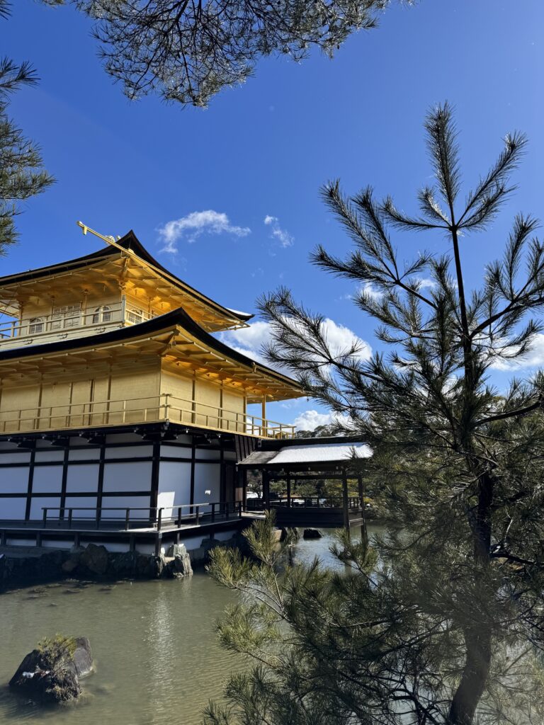 How I Spent 14 Days Solo Travelling Japan: Complete Itinerary & Budget Guide (Under RM 7.9k) img 1722