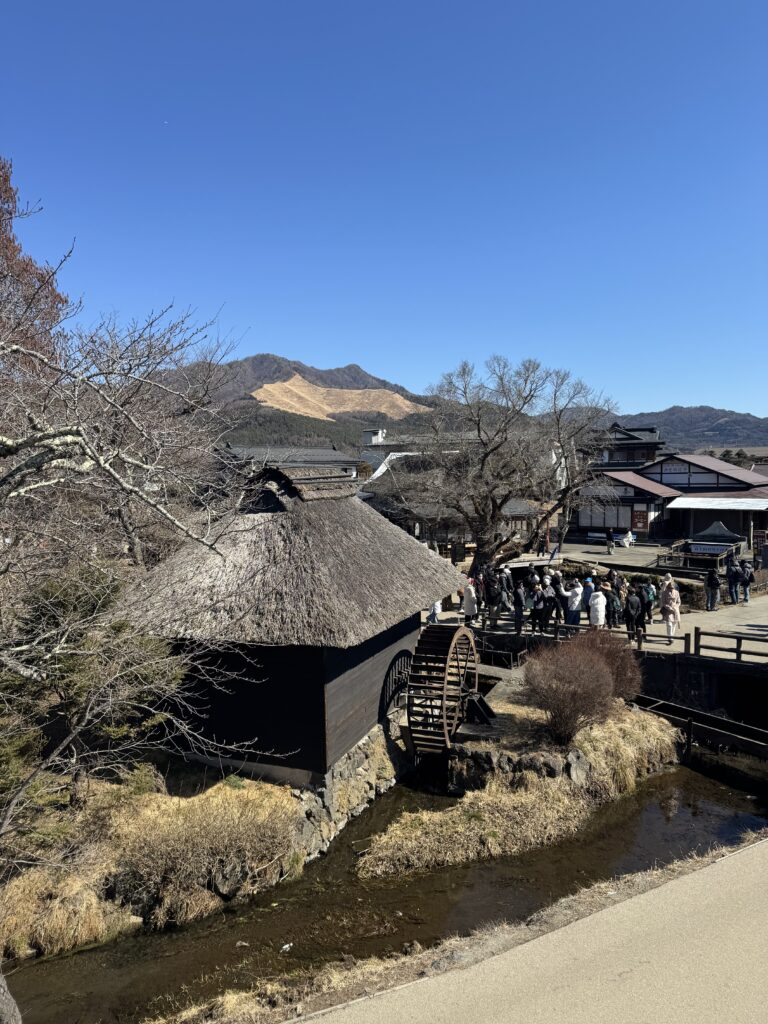 How I Spent 14 Days Solo Travelling Japan: Complete Itinerary & Budget Guide (Under RM 7.9k) img 1823