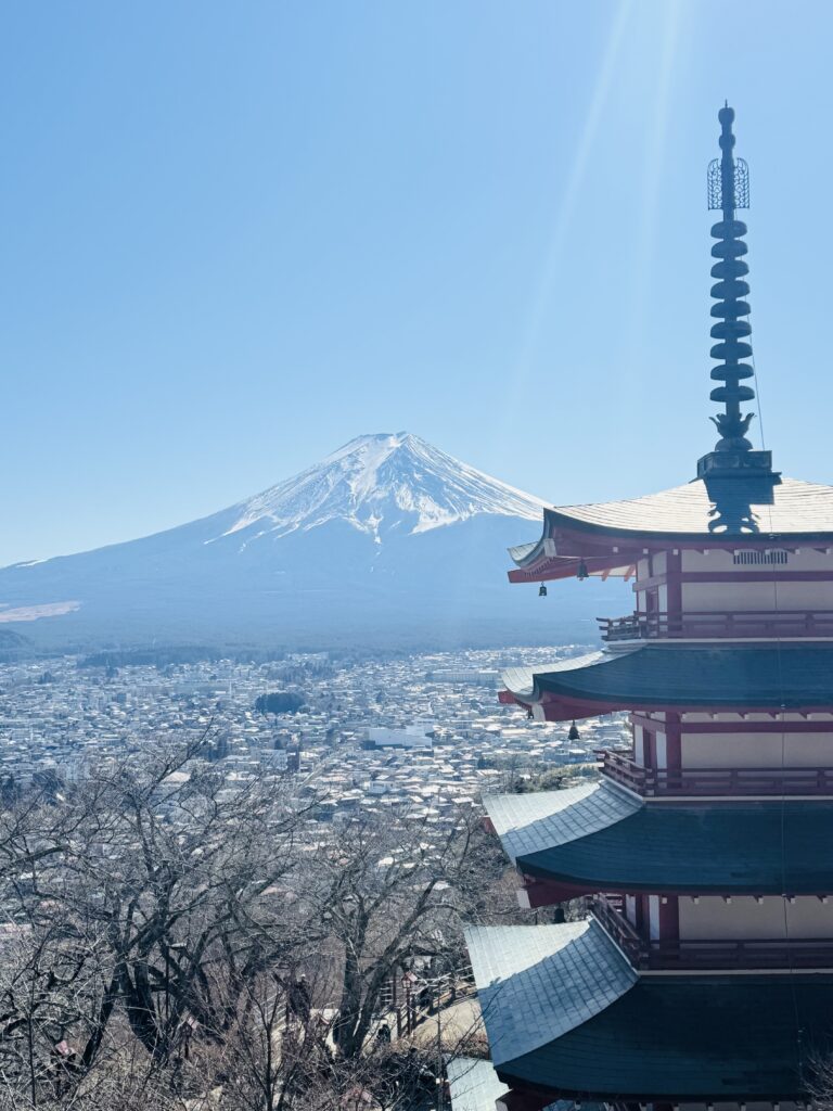 How I Spent 14 Days Solo Travelling Japan: Complete Itinerary & Budget Guide (Under RM 7.9k) img 1878