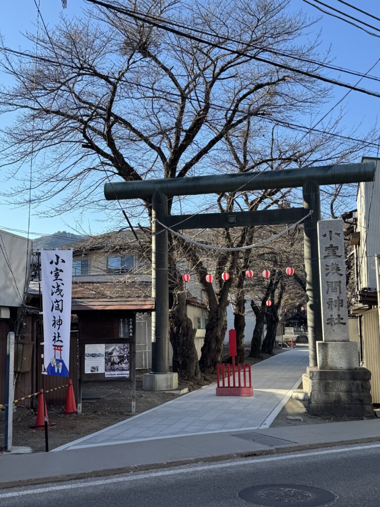 How I Spent 14 Days Solo Travelling Japan: Complete Itinerary & Budget Guide (Under RM 7.9k) img 1908