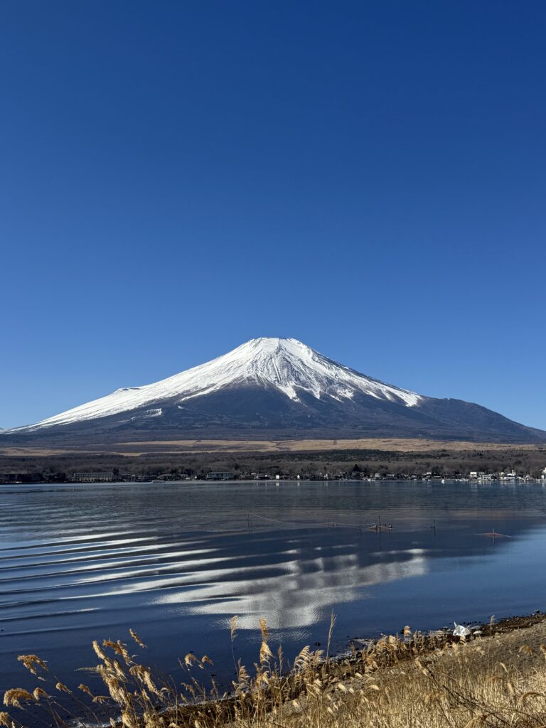 How I Spent 14 Days Solo Travelling Japan: Complete Itinerary & Budget Guide (Under RM 7.9k) img 2111