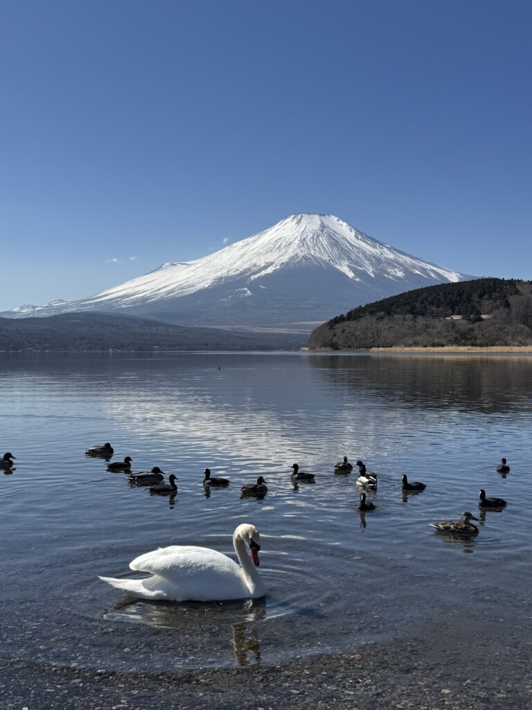 How I Spent 14 Days Solo Travelling Japan: Complete Itinerary & Budget Guide (Under RM 7.9k) img 2147