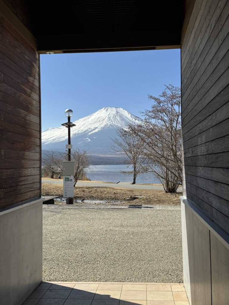 How I Spent 14 Days Solo Travelling Japan: Complete Itinerary & Budget Guide (Under RM 7.9k) img 2163