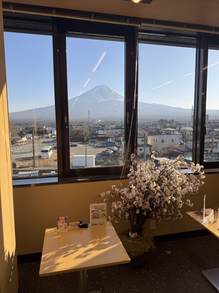 How I Spent 14 Days Solo Travelling Japan: Complete Itinerary & Budget Guide (Under RM 7.9k) img 2190
