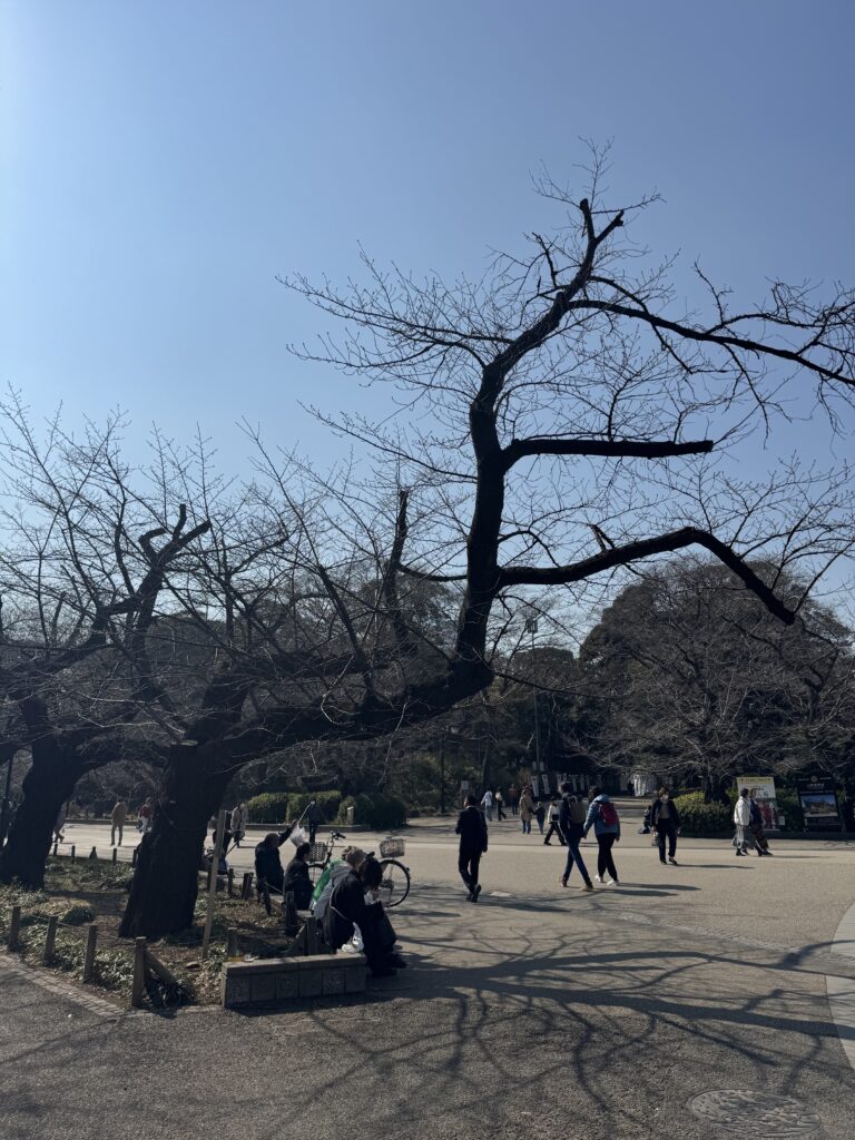 How I Spent 14 Days Solo Travelling Japan: Complete Itinerary & Budget Guide (Under RM 7.9k) img 2305