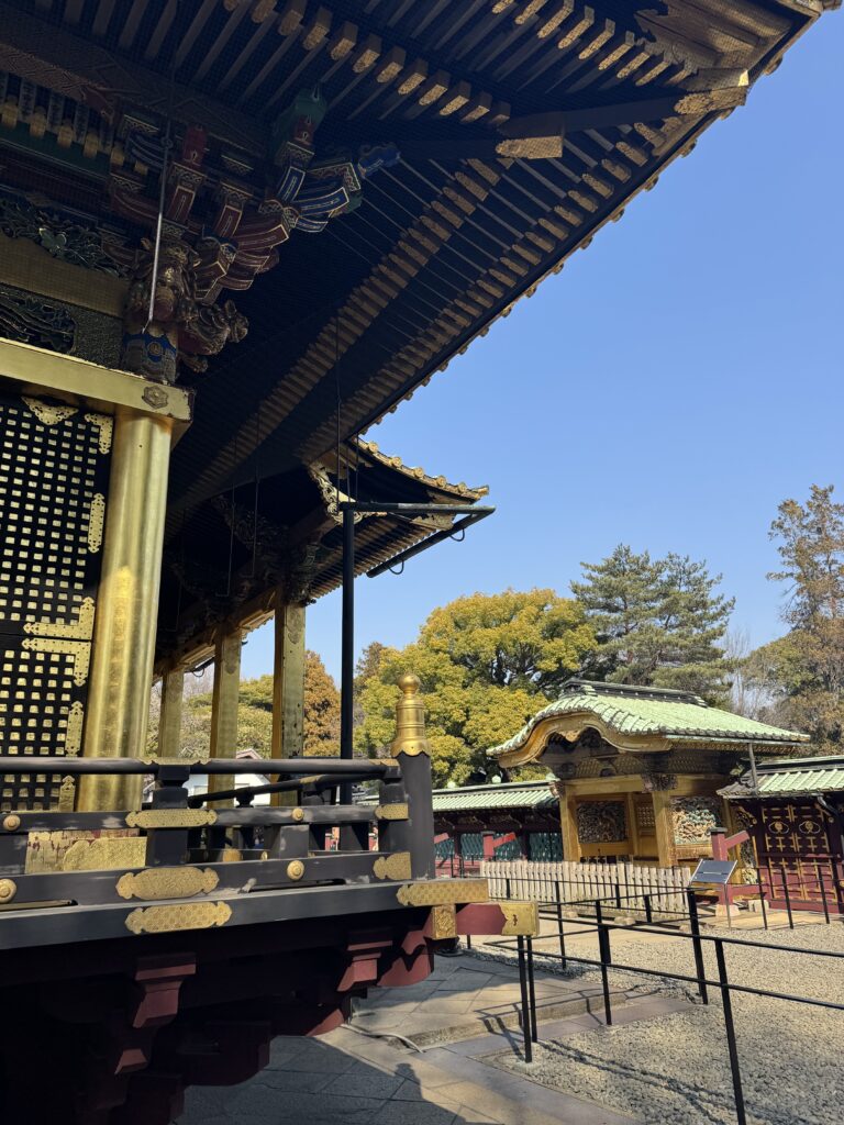How I Spent 14 Days Solo Travelling Japan: Complete Itinerary & Budget Guide (Under RM 7.9k) img 2321
