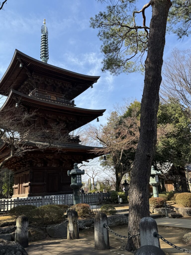 How I Spent 14 Days Solo Travelling Japan: Complete Itinerary & Budget Guide (Under RM 7.9k) img 2561
