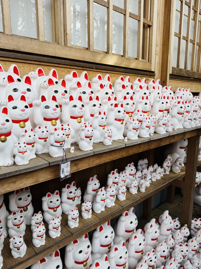 How I Spent 14 Days Solo Travelling Japan: Complete Itinerary & Budget Guide (Under RM 7.9k) img 2569