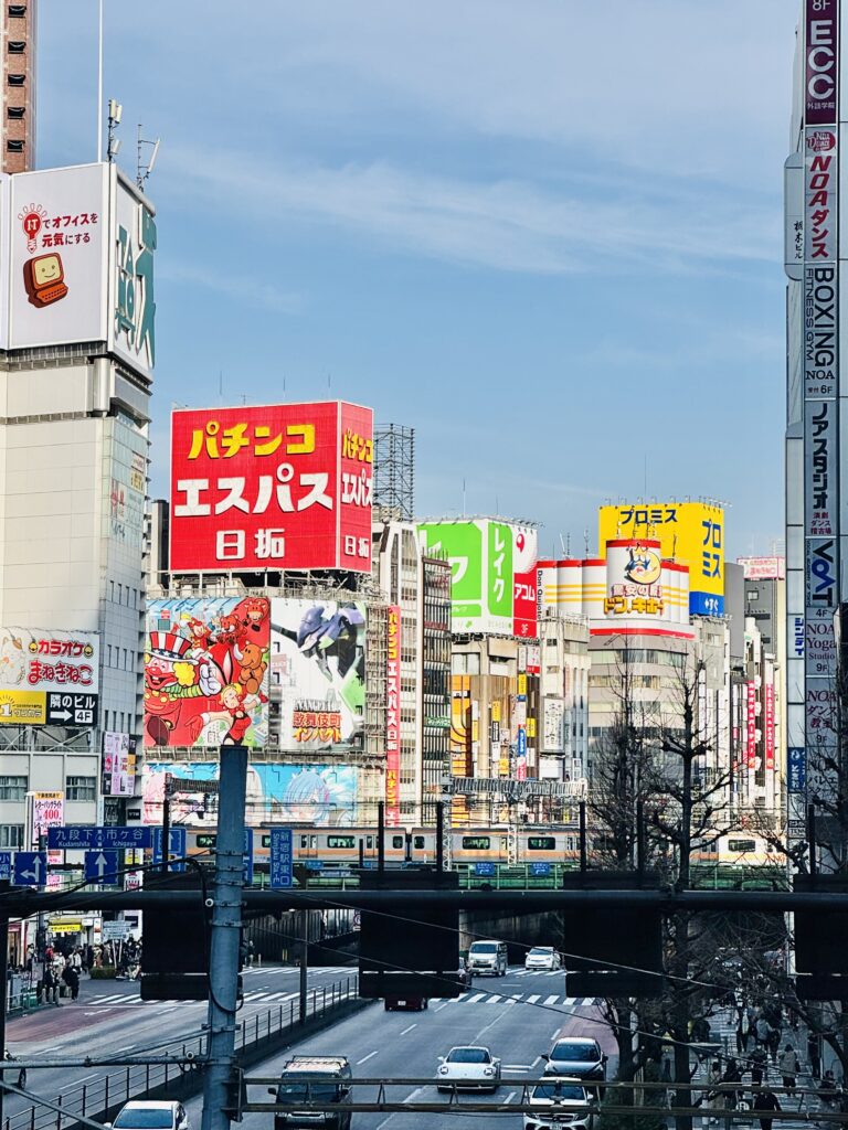 How I Spent 14 Days Solo Travelling Japan: Complete Itinerary & Budget Guide (Under RM 7.9k) img 2591