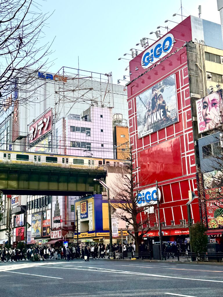 How I Spent 14 Days Solo Travelling Japan: Complete Itinerary & Budget Guide (Under RM 7.9k) img 2765