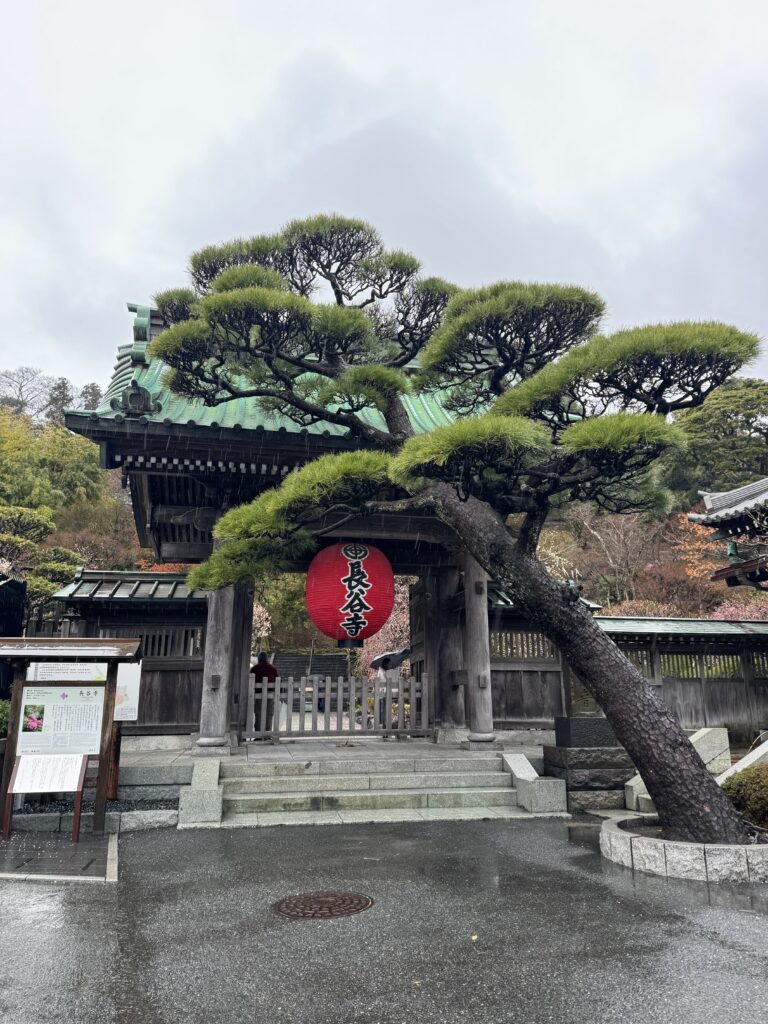 How I Spent 14 Days Solo Travelling Japan: Complete Itinerary & Budget Guide (Under RM 7.9k) img 2890