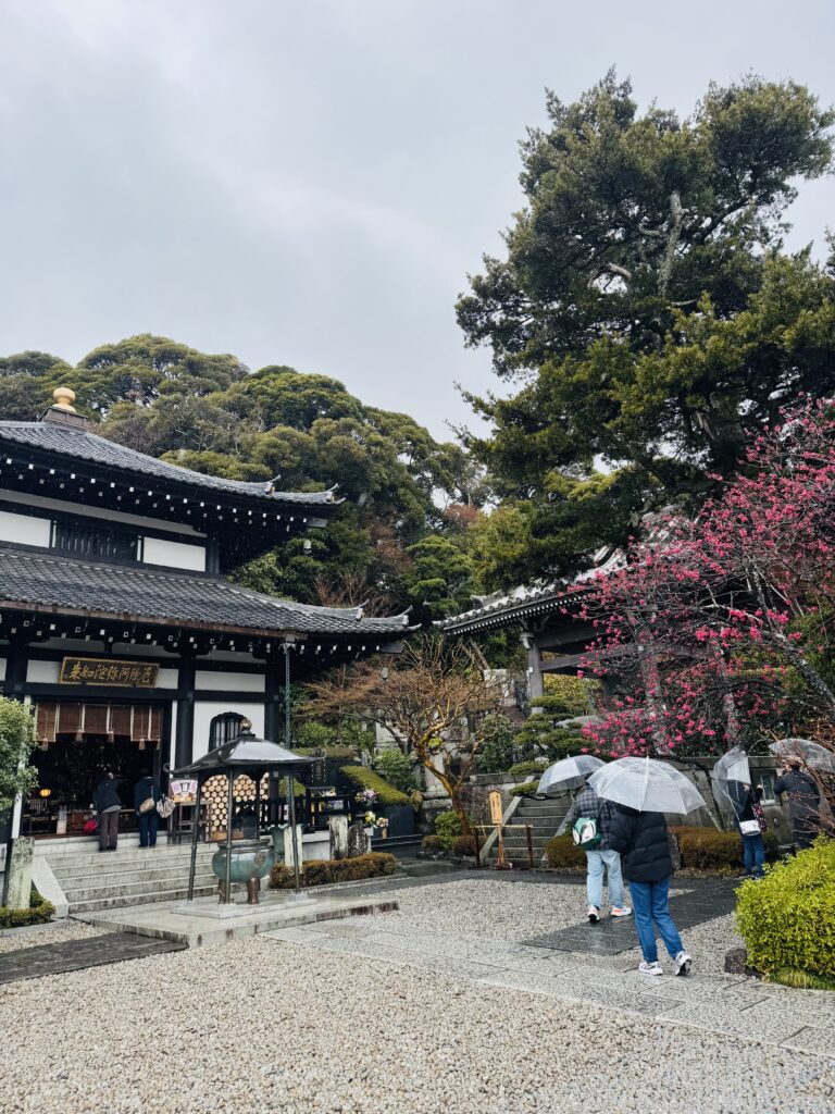 How I Spent 14 Days Solo Travelling Japan: Complete Itinerary & Budget Guide (Under RM 7.9k) img 2897