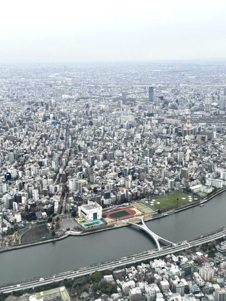 How I Spent 14 Days Solo Travelling Japan: Complete Itinerary & Budget Guide (Under RM 7.9k) img 3113