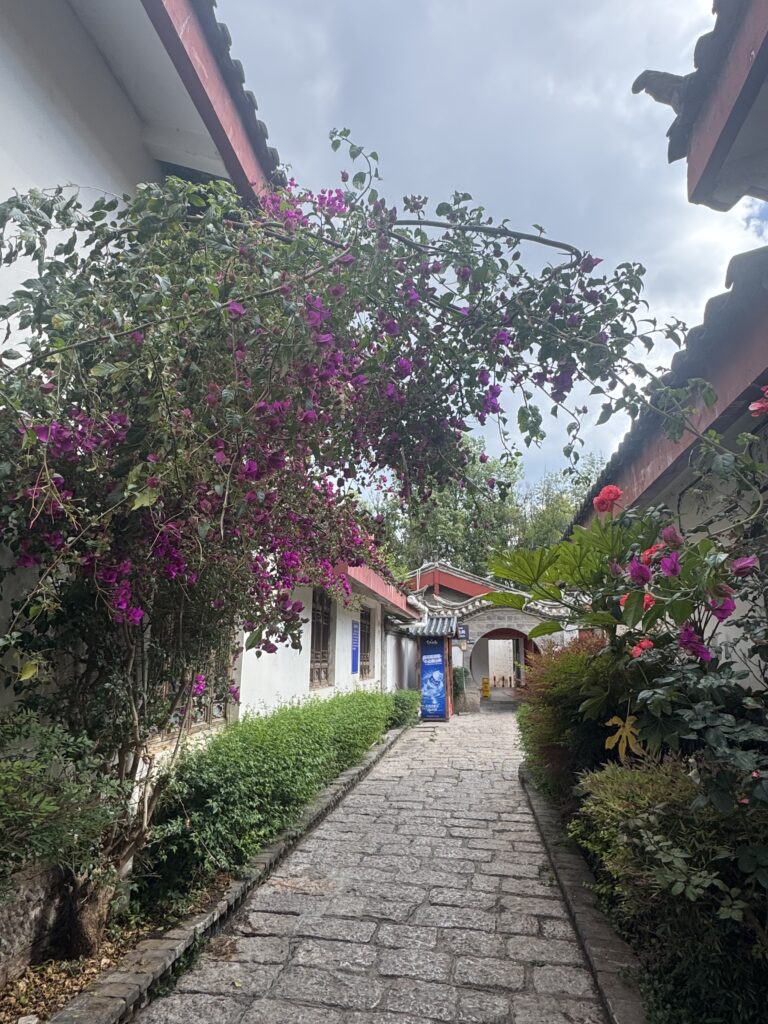 🇨🇳Yunnan One Week Itinerary And Budget: My Solo Journey Through Kunming, Dali & Lijiang img 1103