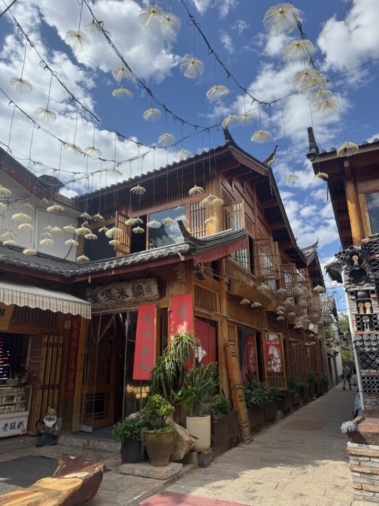 🇨🇳Yunnan One Week Itinerary And Budget: My Solo Journey Through Kunming, Dali & Lijiang img 1107
