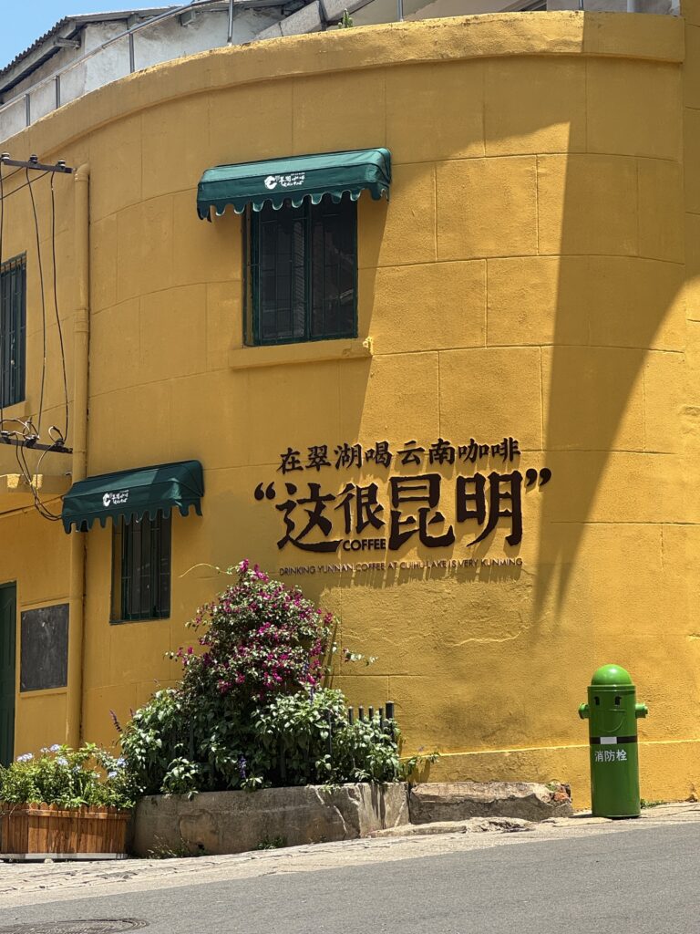 🇨🇳Yunnan One Week Itinerary And Budget: My Solo Journey Through Kunming, Dali & Lijiang img 8054