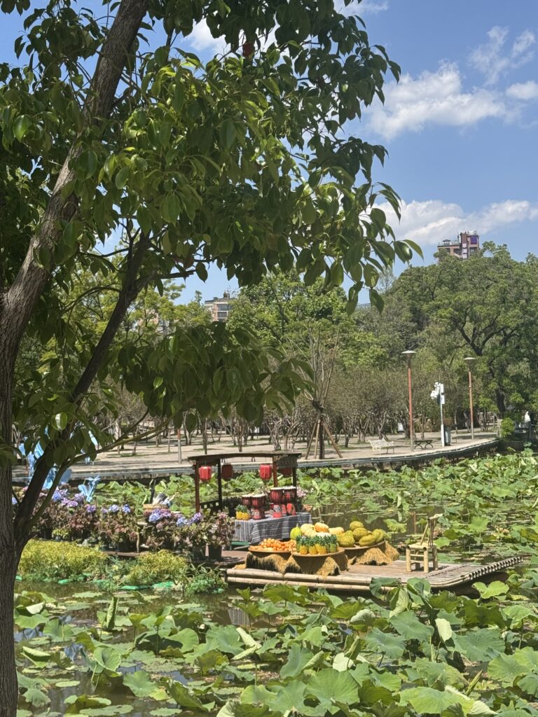 🇨🇳Yunnan One Week Itinerary And Budget: My Solo Journey Through Kunming, Dali & Lijiang img 8091
