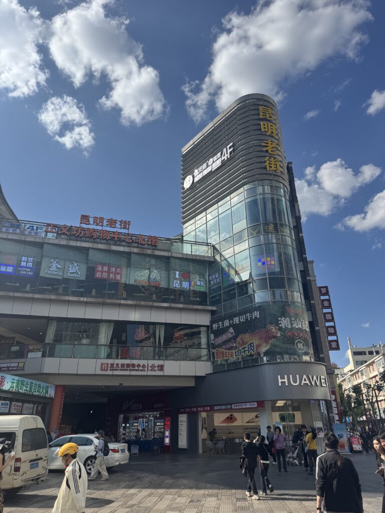 🇨🇳Yunnan One Week Itinerary And Budget: My Solo Journey Through Kunming, Dali & Lijiang img 8139