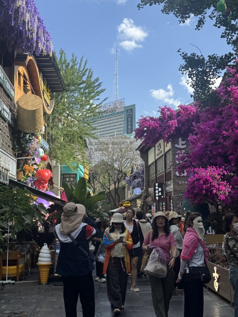 🇨🇳Yunnan One Week Itinerary And Budget: My Solo Journey Through Kunming, Dali & Lijiang img 8145