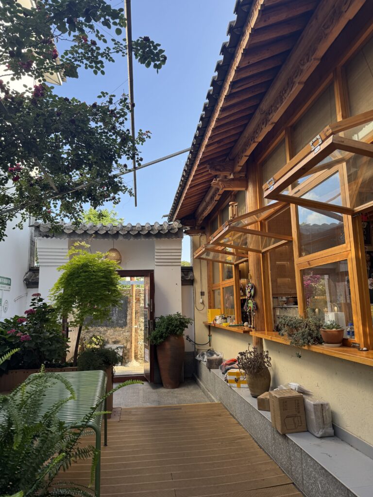 🇨🇳Yunnan One Week Itinerary And Budget: My Solo Journey Through Kunming, Dali & Lijiang img 8456