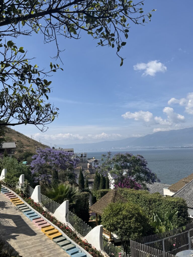 🇨🇳Yunnan One Week Itinerary And Budget: My Solo Journey Through Kunming, Dali & Lijiang img 8493