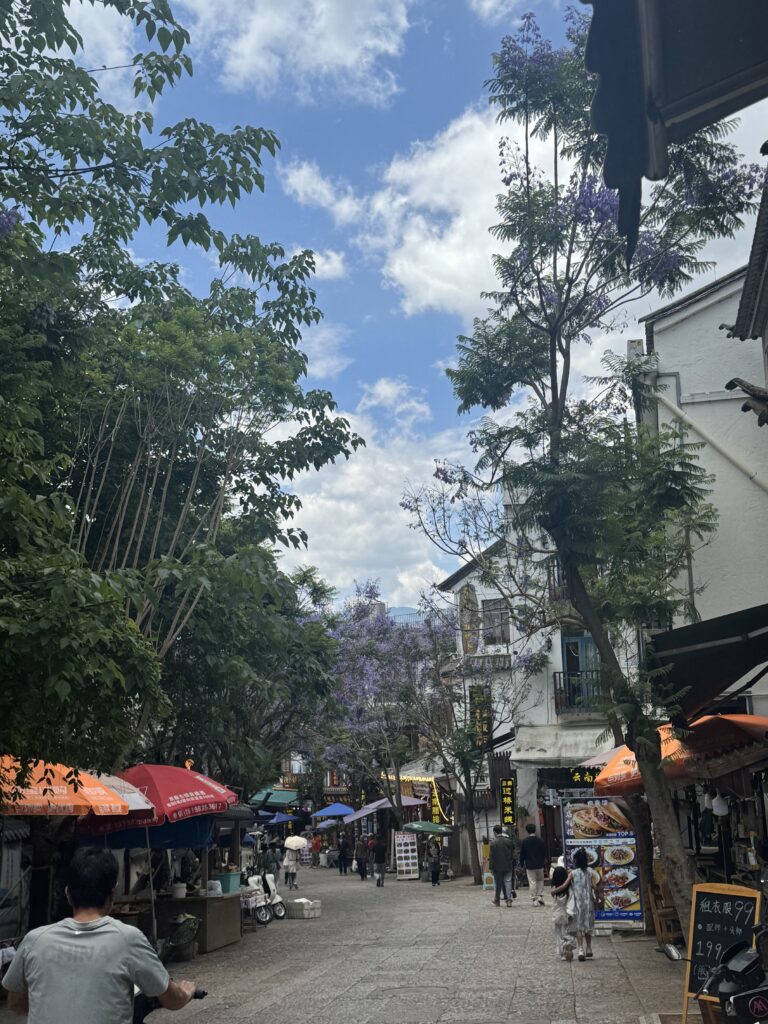 🇨🇳Yunnan One Week Itinerary And Budget: My Solo Journey Through Kunming, Dali & Lijiang img 8597