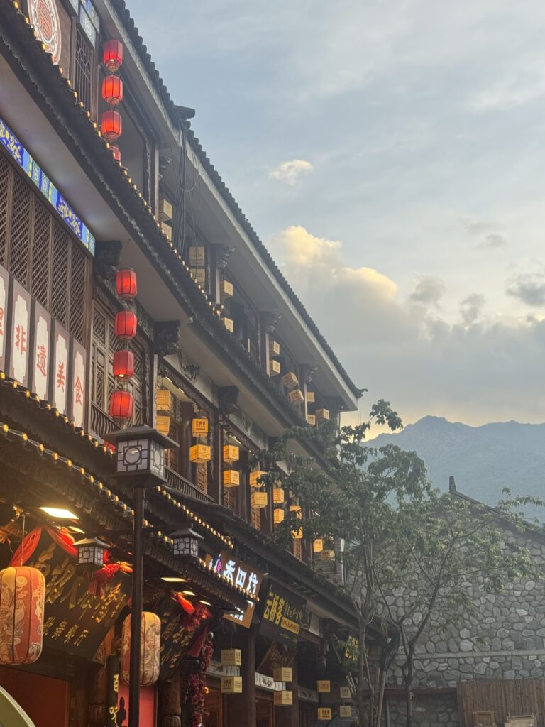 🇨🇳Yunnan One Week Itinerary And Budget: My Solo Journey Through Kunming, Dali & Lijiang img 8766